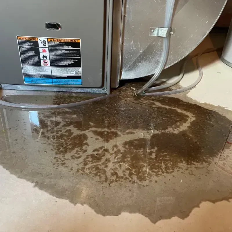 Appliance Leak Cleanup in De Soto, KS